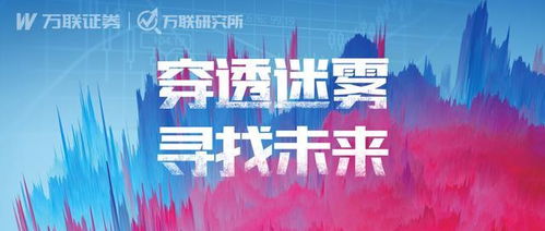 萬聯證券年度A股投資策略報告 紡織服裝行業投資管理與咨詢深度解讀